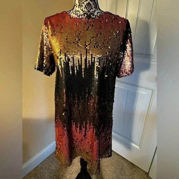 Ombré Sequined Dress - Picture 1 of 9